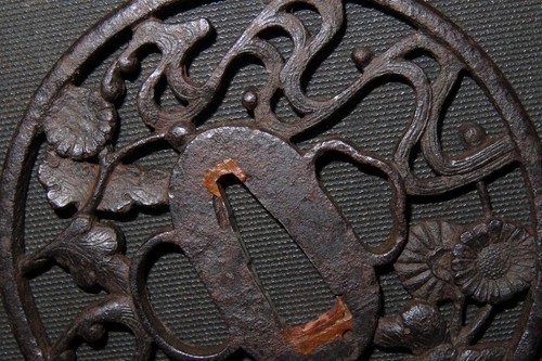 Daito kikusui sukashi - daito, of